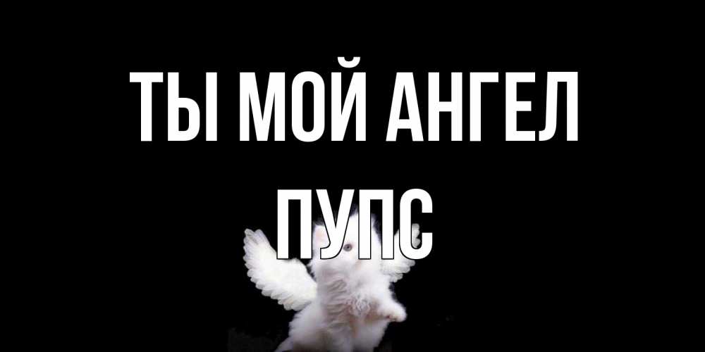 Открытка на каждый день с именем, Пупс Ты мой ангел Кот ангел Прикольная открытка с пожеланием онлайн скачать бесплатно 