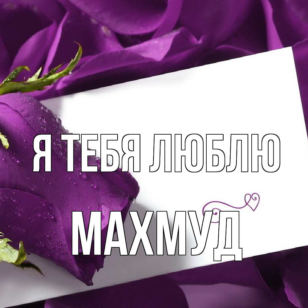 Открытка на каждый день с именем, Махмуд Я тебя люблю роза Прикольная открытка с пожеланием онлайн скачать бесплатно 