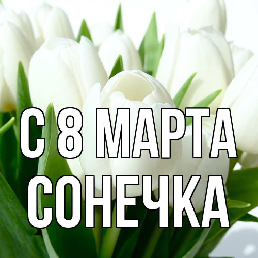 Открытка на каждый день с именем, Сонечка C 8 МАРТА цветы Прикольная открытка с пожеланием онлайн скачать бесплатно 