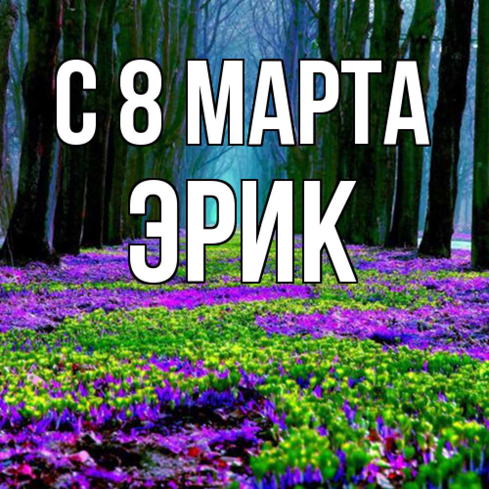Открытка на каждый день с именем, Эрик C 8 МАРТА фиолетовые цветы в лесу 1 Прикольная открытка с пожеланием онлайн скачать бесплатно 