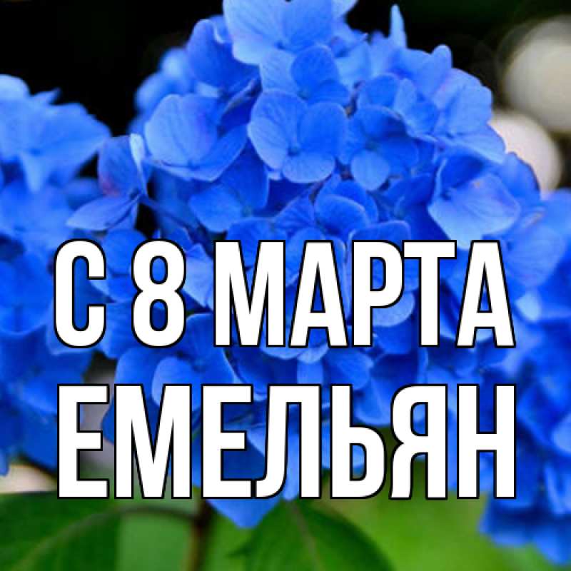 Картинка C 8 МАРТА, Емельян