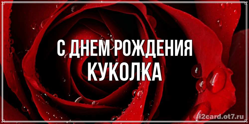 Открытка на каждый день с именем, Куколка С днем рождения крупная бордовая роза Прикольная открытка с пожеланием онлайн скачать бесплатно 