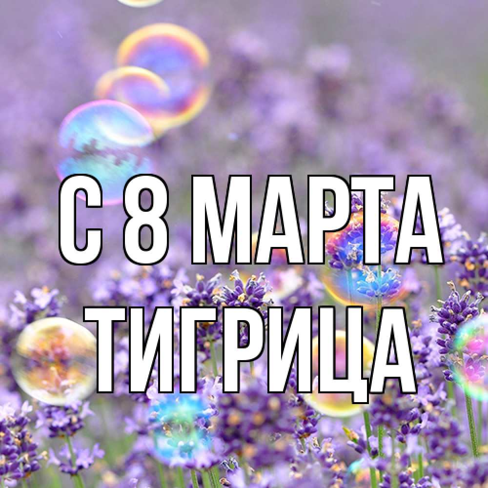 Открытка на каждый день с именем, Тигрица C 8 МАРТА цветы Прикольная открытка с пожеланием онлайн скачать бесплатно 