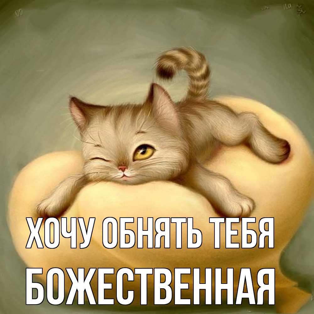 Открытка на каждый день с именем, божественная Хочу обнять тебя кошечка Прикольная открытка с пожеланием онлайн скачать бесплатно 