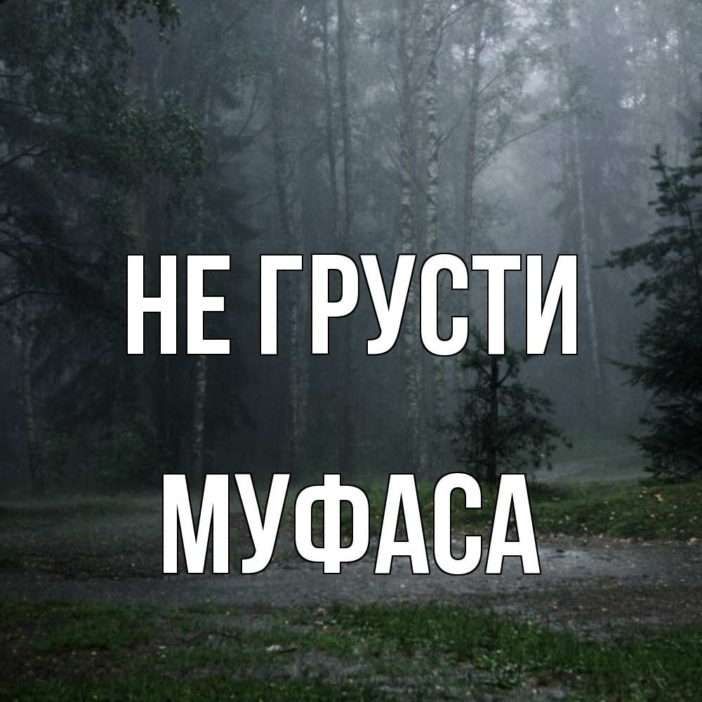 Открытка на каждый день с именем, Муфаса Не грусти осень Прикольная открытка с пожеланием онлайн скачать бесплатно 