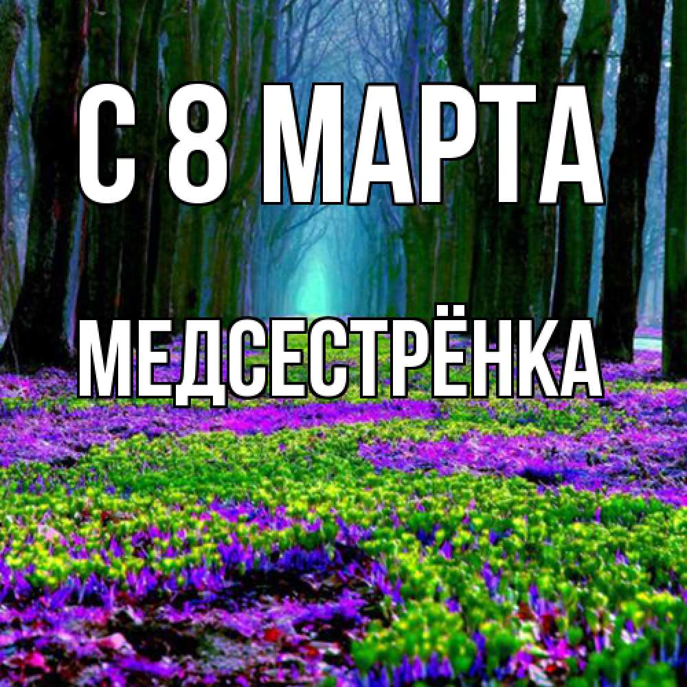 Открытка на каждый день с именем, Медсестрёнка C 8 МАРТА фиолетовые цветы в лесу 1 Прикольная открытка с пожеланием онлайн скачать бесплатно 