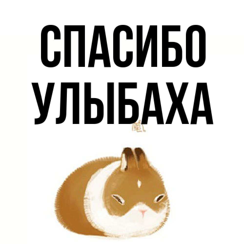 Открытка на каждый день с именем, Улыбаха Спасибо коричнево белый домашний питомец Прикольная открытка с пожеланием онлайн скачать бесплатно 