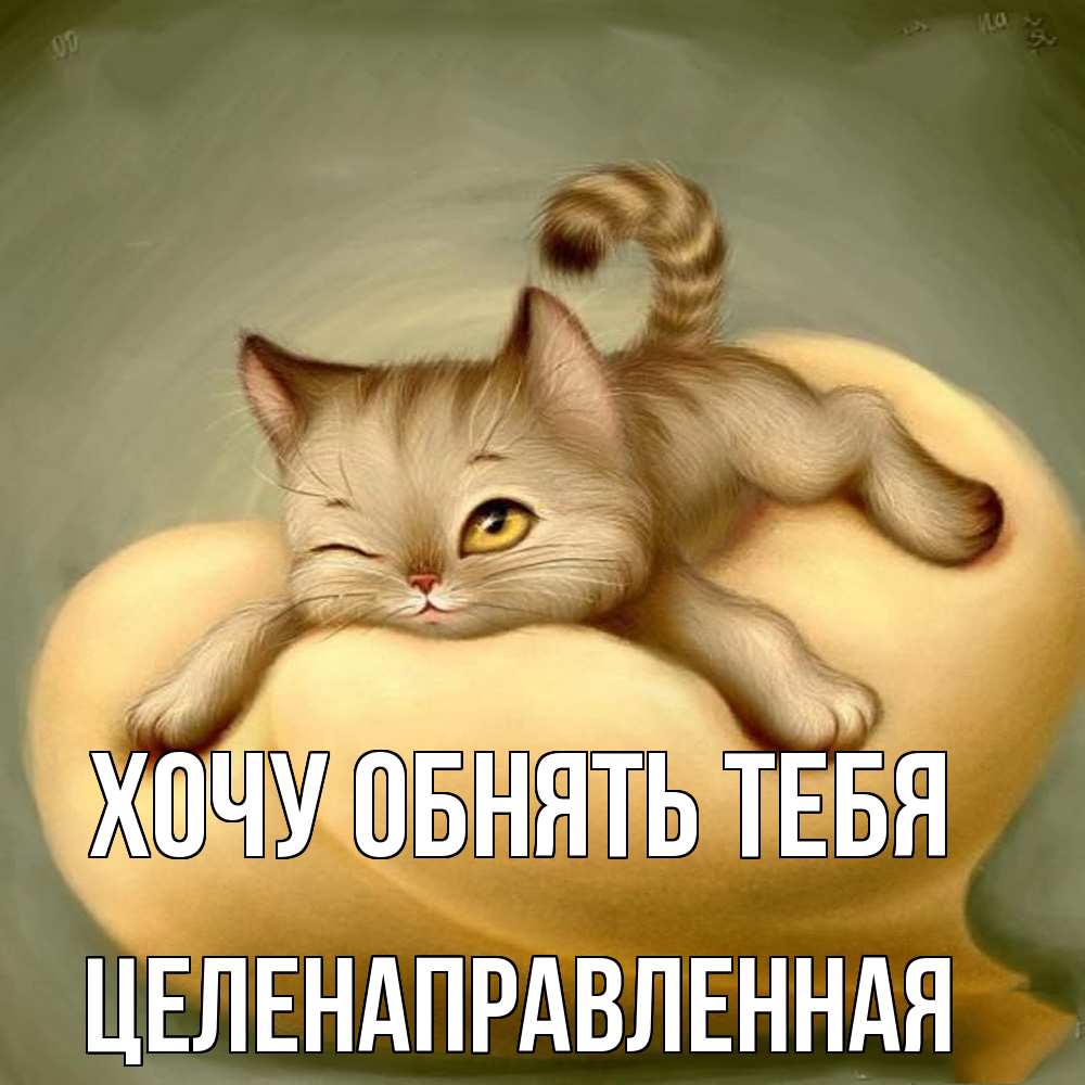 Открытка на каждый день с именем, целенаправленная Хочу обнять тебя кошечка Прикольная открытка с пожеланием онлайн скачать бесплатно 