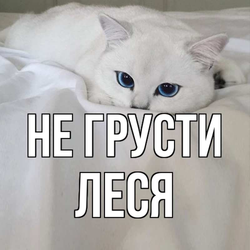 Картинка Не грусти, Леся