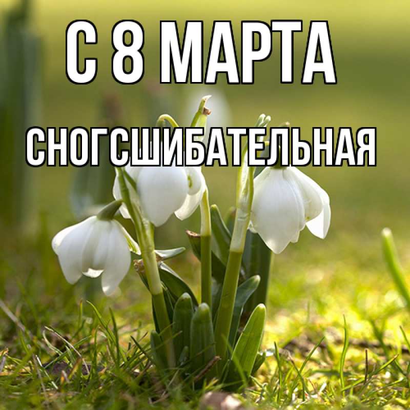 Картинка C 8 МАРТА, сногсшибательная