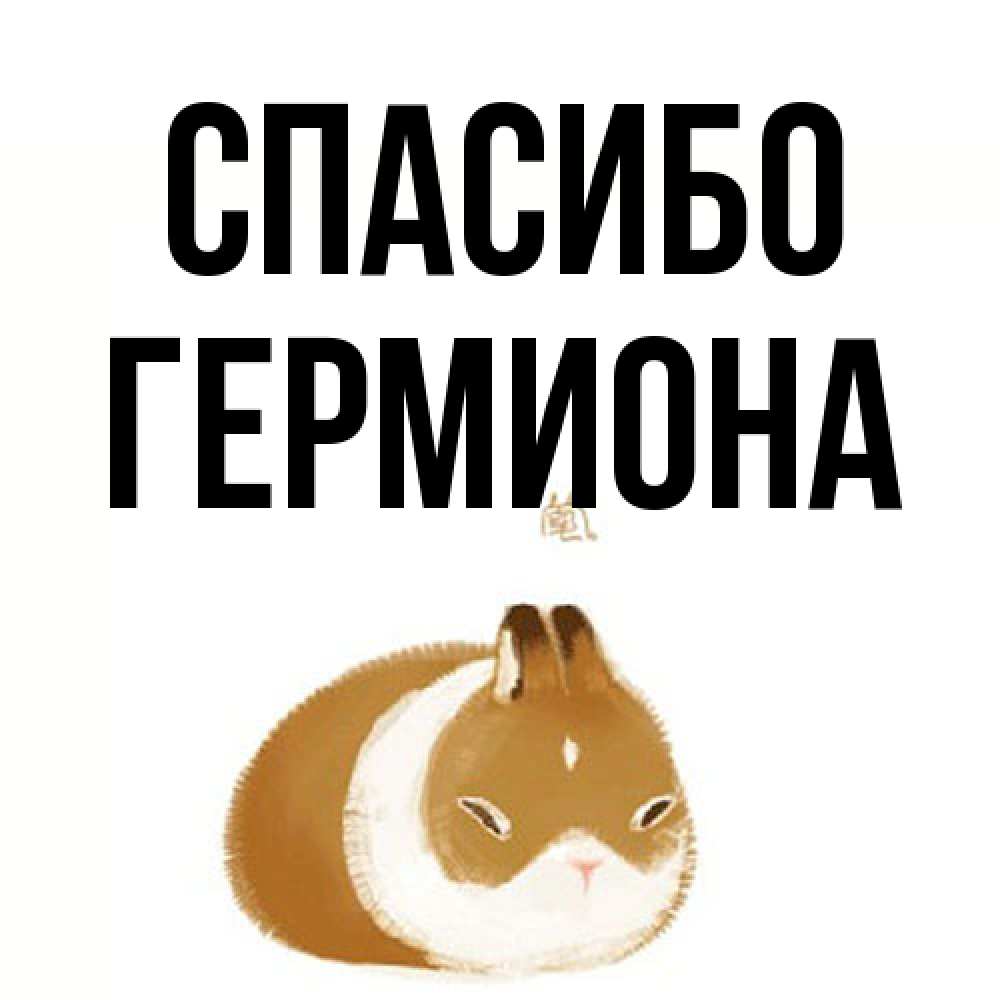 Открытка на каждый день с именем, Гермиона Спасибо коричнево белый домашний питомец Прикольная открытка с пожеланием онлайн скачать бесплатно 