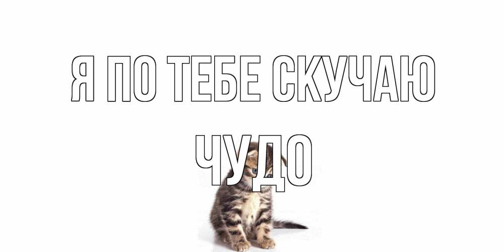 Открытка на каждый день с именем, Чудо Я по тебе скучаю кот Прикольная открытка с пожеланием онлайн скачать бесплатно 