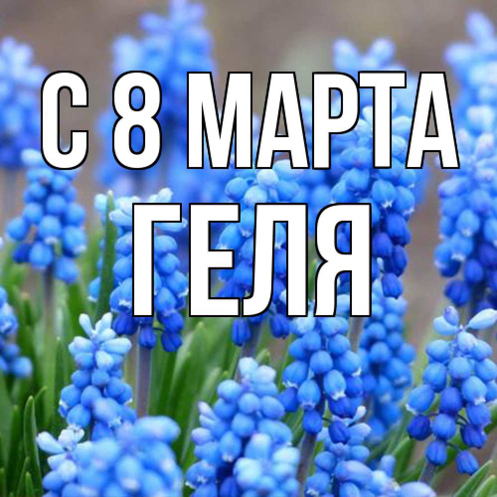Открытка на каждый день с именем, Геля C 8 МАРТА Поздравительная открытка для женщин с цветами на праздничную дату Прикольная открытка с пожеланием онлайн скачать бесплатно 
