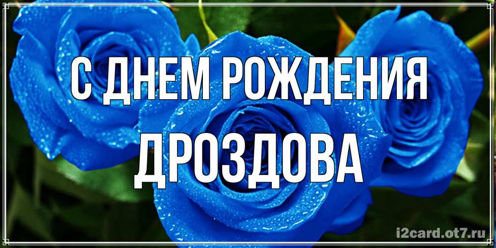 Открытка на каждый день с именем, Дроздова С днем рождения розы с синим цветом Прикольная открытка с пожеланием онлайн скачать бесплатно 