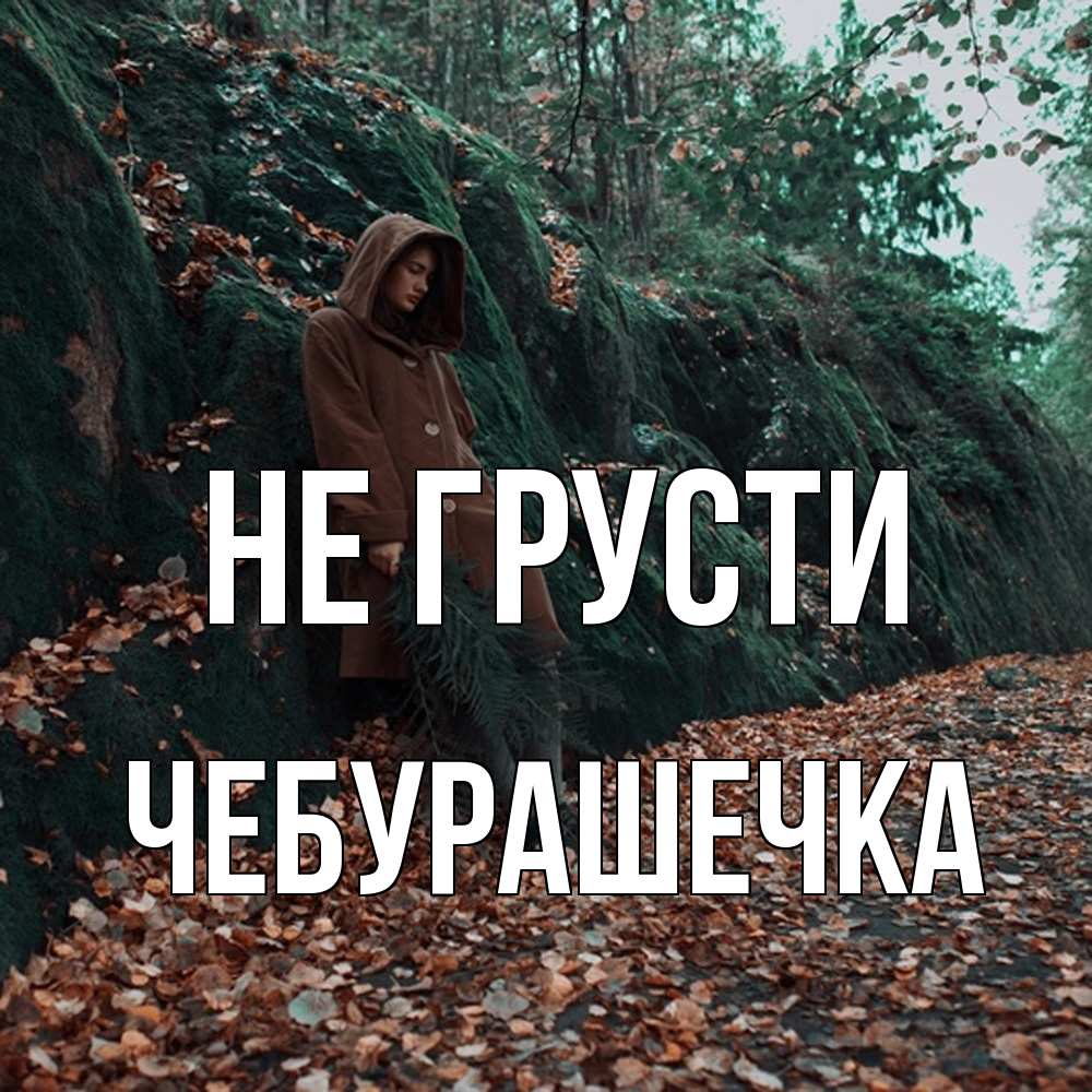 Открытка на каждый день с именем, Чебурашечка Не грусти осенний лес Прикольная открытка с пожеланием онлайн скачать бесплатно 