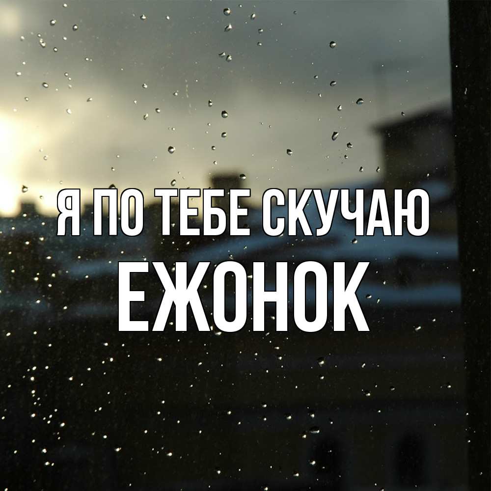 Открытка на каждый день с именем, Ежонок Я по тебе скучаю капли на стекле Прикольная открытка с пожеланием онлайн скачать бесплатно 