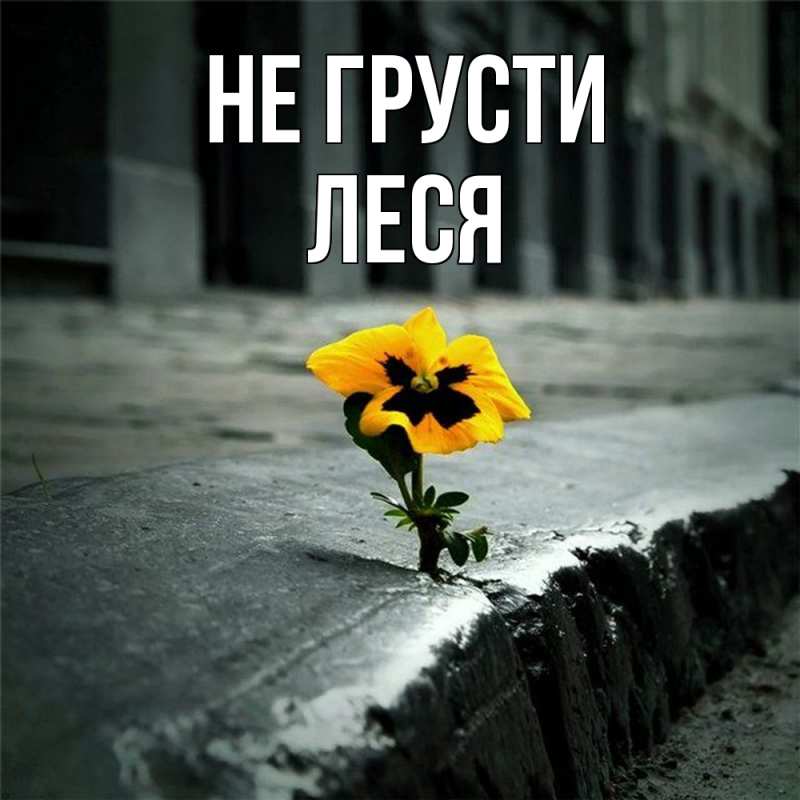 Картинка Не грусти, Леся