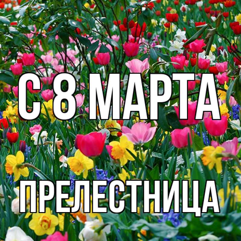 Картинка C 8 МАРТА, Прелестница
