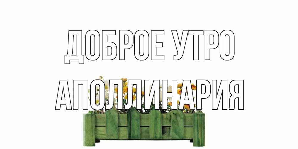 Открытка на каждый день с именем, Аполлинария Доброе утро цветы Прикольная открытка с пожеланием онлайн скачать бесплатно 
