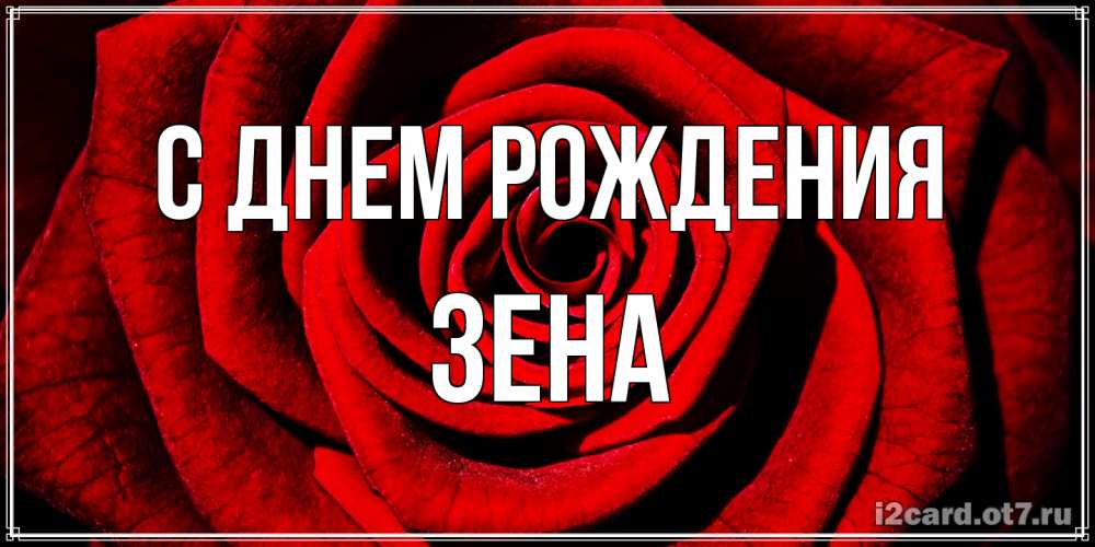 Открытка на каждый день с именем, Зена С днем рождения алая роза Прикольная открытка с пожеланием онлайн скачать бесплатно 
