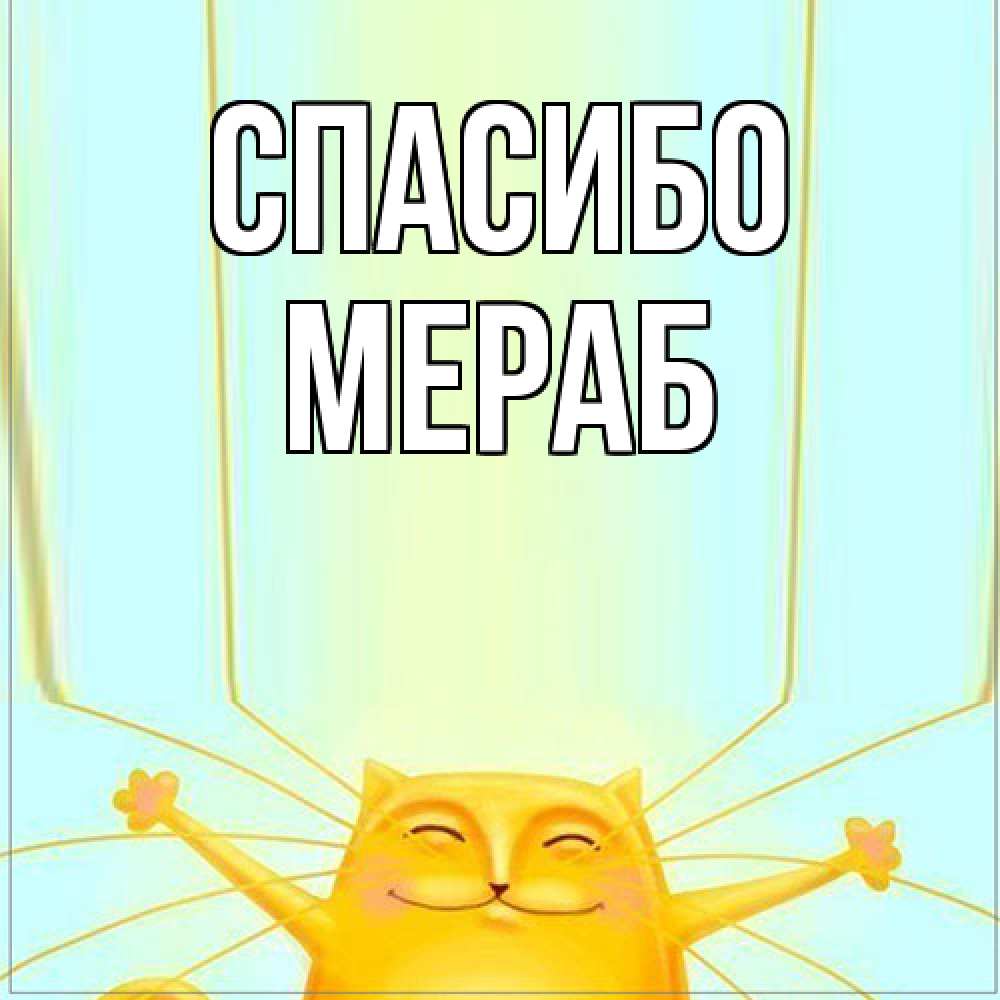 Открытка на каждый день с именем, Мераб Спасибо кот с усами благодарит Прикольная открытка с пожеланием онлайн скачать бесплатно 