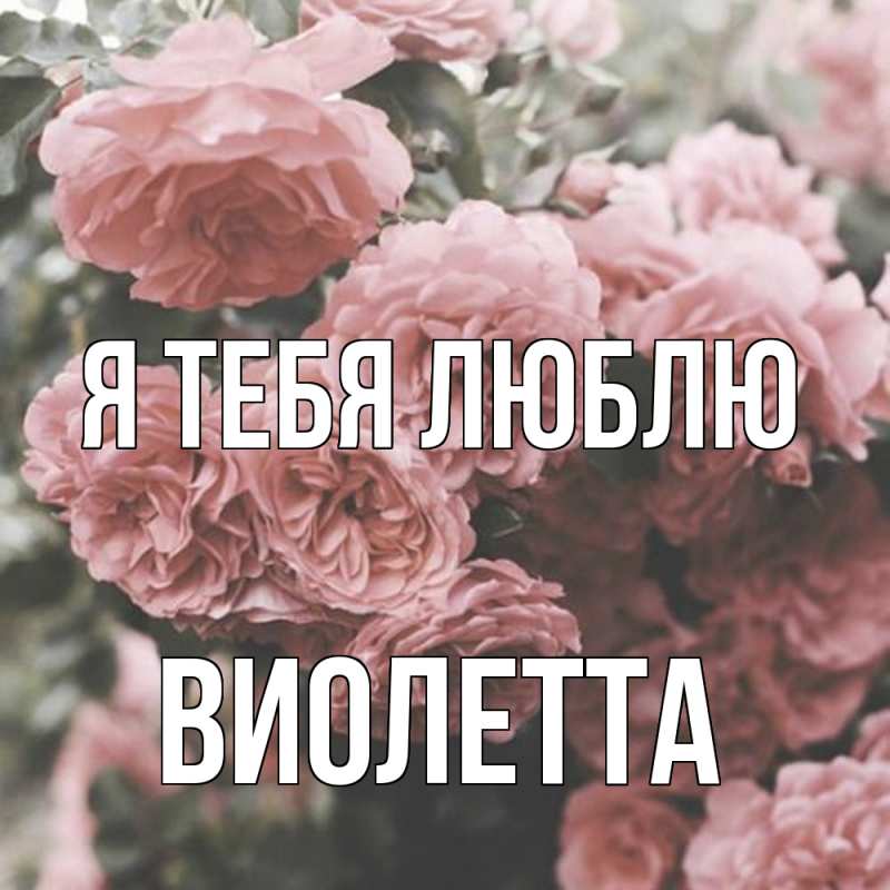 Картинка Я тебя люблю, Виолетта