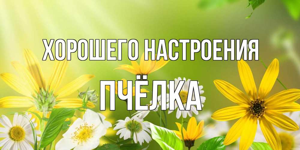 Открытка на каждый день с именем, Пчёлка Хорошего настроения цветы Прикольная открытка с пожеланием онлайн скачать бесплатно 