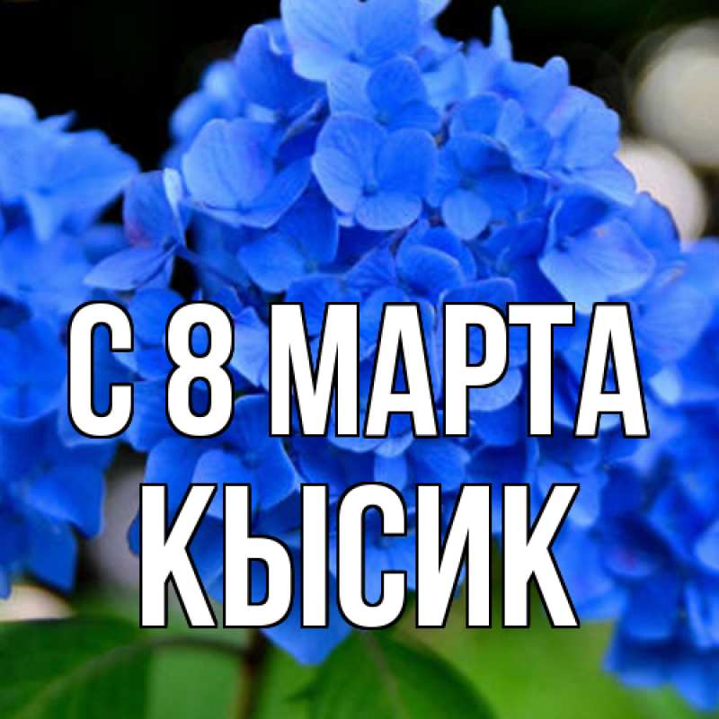 Картинка C 8 МАРТА, Кысик