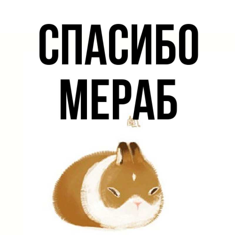 Картинка Спасибо, Мераб