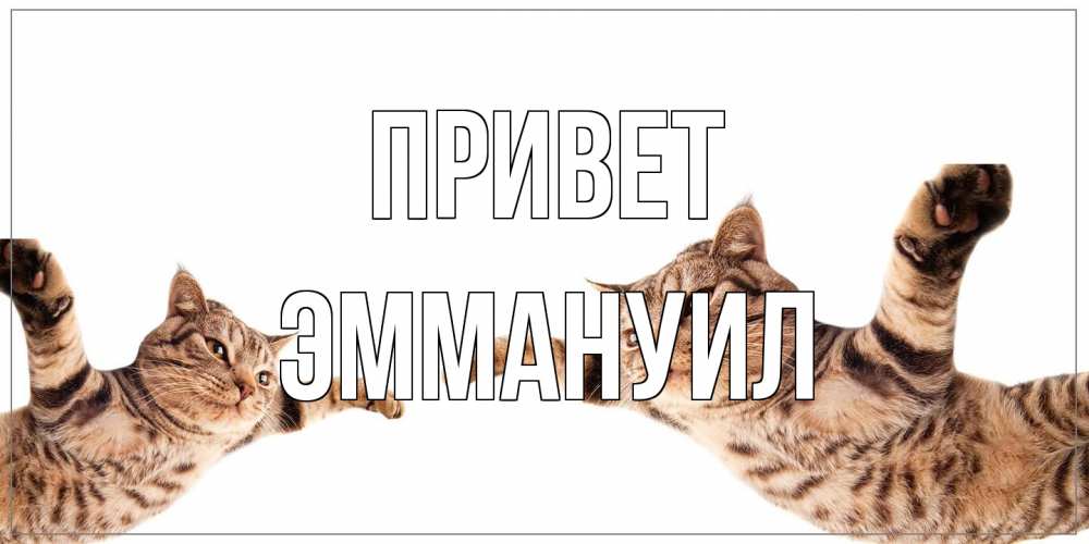 Открытка на каждый день с именем, Эммануил Привет кот Прикольная открытка с пожеланием онлайн скачать бесплатно 