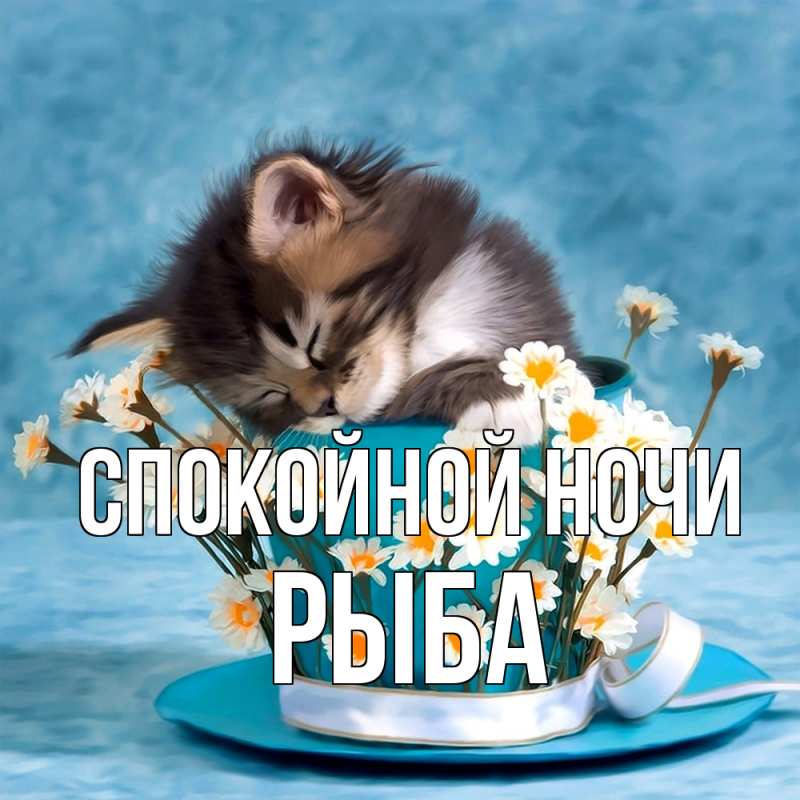 Картинка Спокойной ночи, Рыба