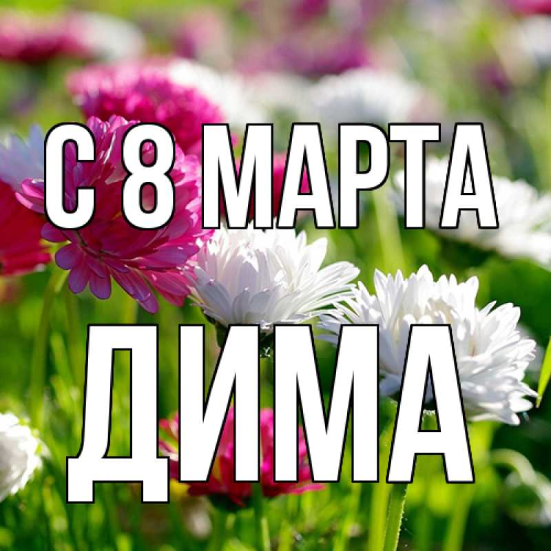 Картинка C 8 МАРТА, Дима