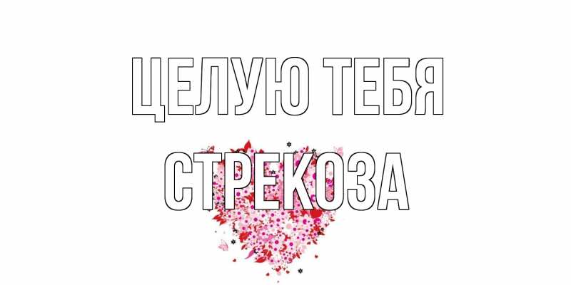 Открытка с именем, Стрекоза, Целую тебя