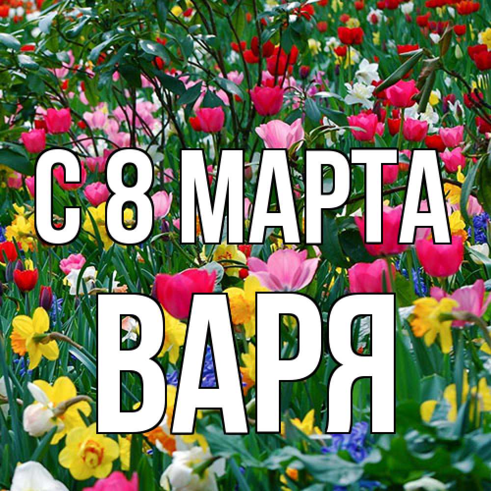 Открытка на каждый день с именем, Варя C 8 МАРТА с международным женским днем поздравления для женщины Прикольная открытка с пожеланием онлайн скачать бесплатно 