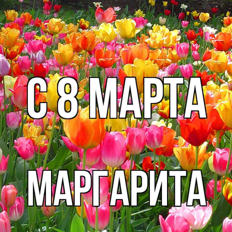 Картинка C 8 МАРТА, Маргарита