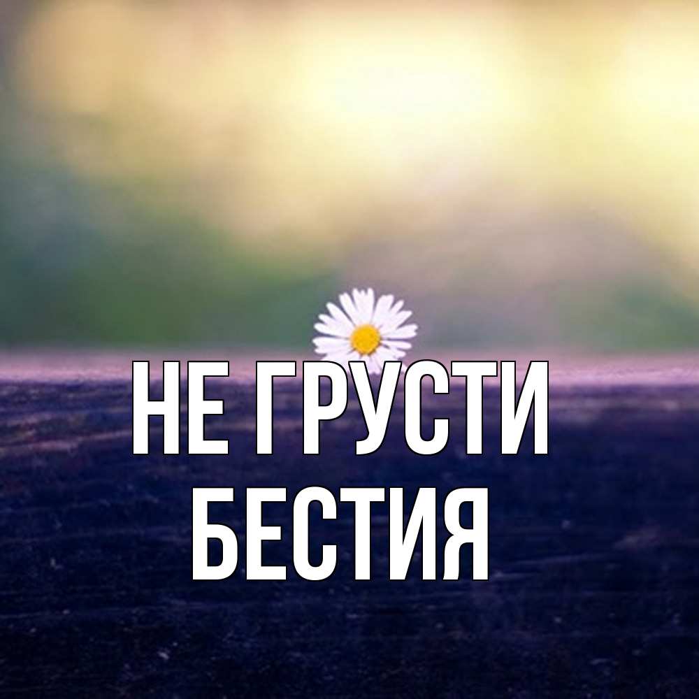 Открытка на каждый день с именем, Бестия Не грусти красота Прикольная открытка с пожеланием онлайн скачать бесплатно 