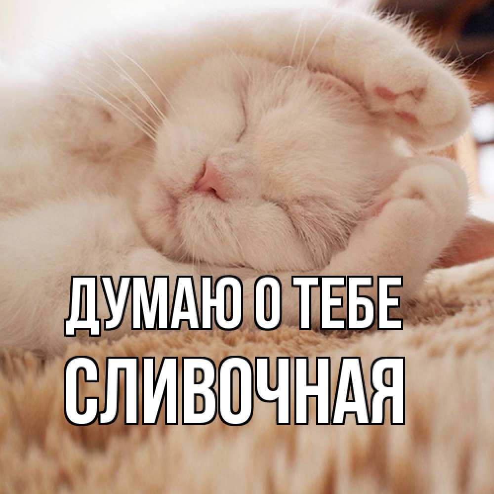 Открытка на каждый день с именем, Сливочная Думаю о тебе для любимой девушки милота Прикольная открытка с пожеланием онлайн скачать бесплатно 