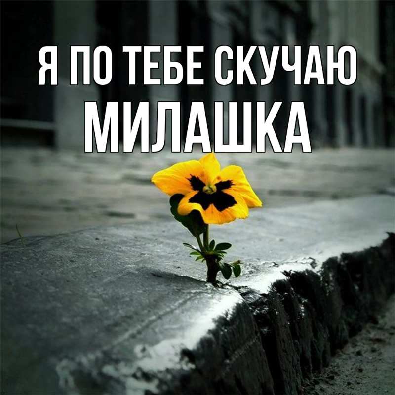 Картинка Я по тебе скучаю, Милашка