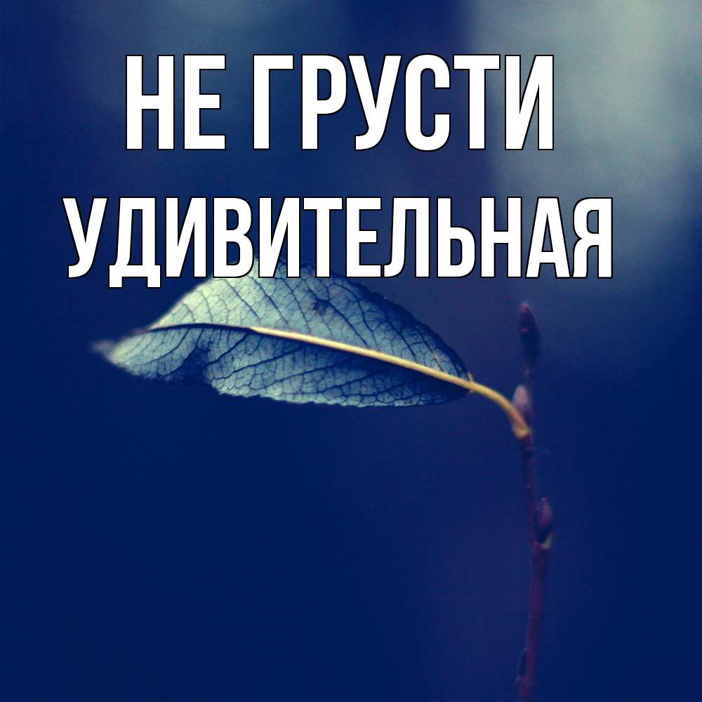 Открытка на каждый день с именем, удивительная Не грусти растение Прикольная открытка с пожеланием онлайн скачать бесплатно 