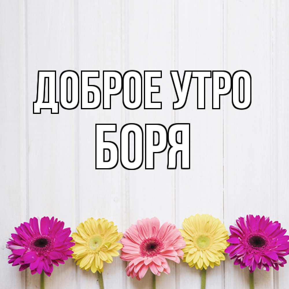 Открытка на каждый день с именем, Боря Доброе утро красный желтый и розовый цветок Прикольная открытка с пожеланием онлайн скачать бесплатно 