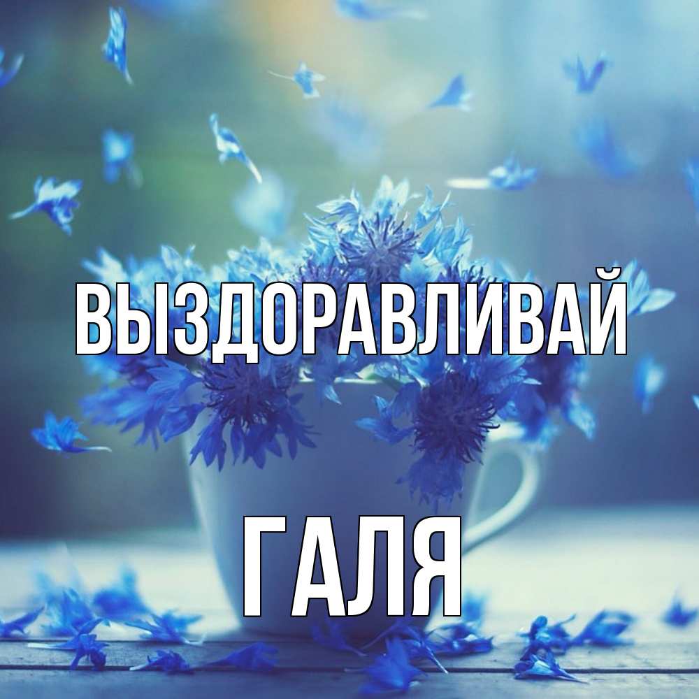 Открытка на каждый день с именем, Галя Выздоравливай кружка с зельем и цветами Прикольная открытка с пожеланием онлайн скачать бесплатно 