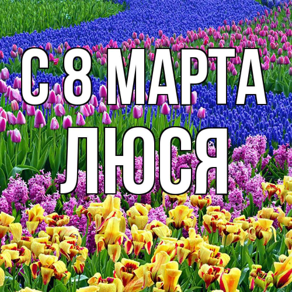 Открытка на каждый день с именем, Люся C 8 МАРТА цветы Прикольная открытка с пожеланием онлайн скачать бесплатно 