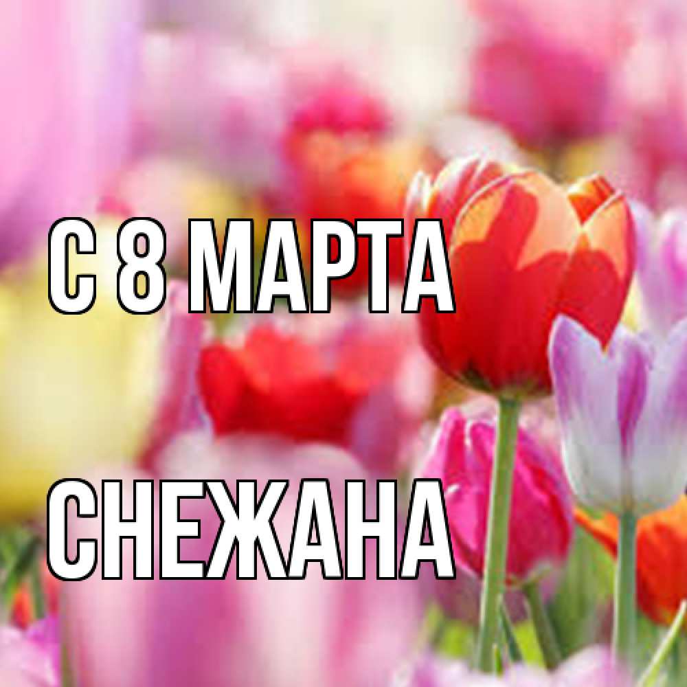 Открытка на каждый день с именем, Снежана C 8 МАРТА на международный женский день 2 Прикольная открытка с пожеланием онлайн скачать бесплатно 