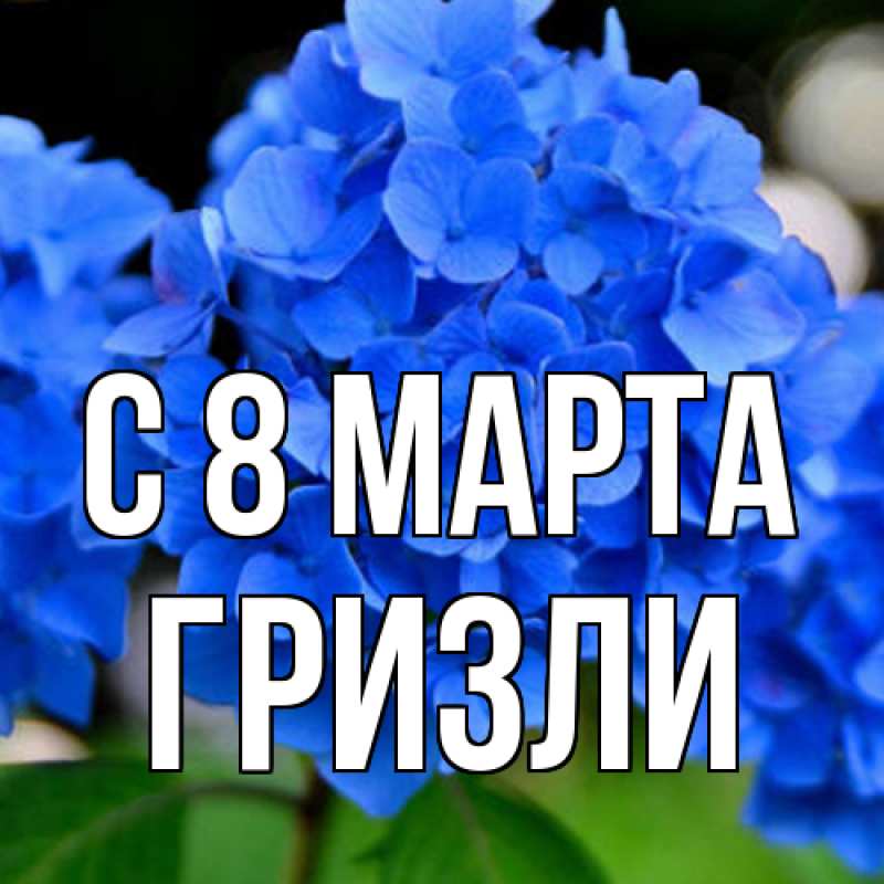 Картинка C 8 МАРТА, Гризли