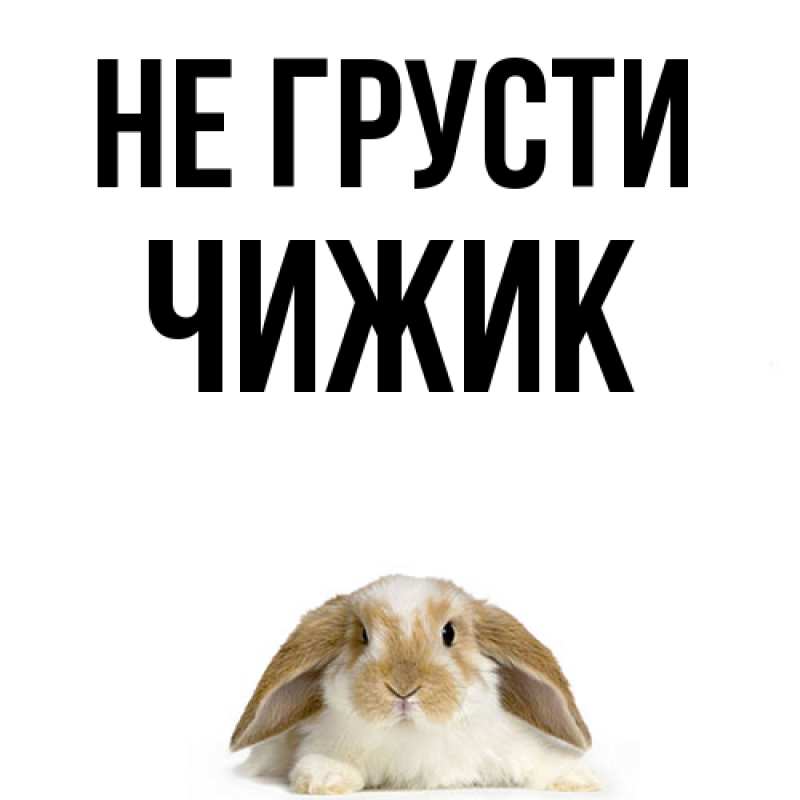 Картинка Не грусти, Чижик