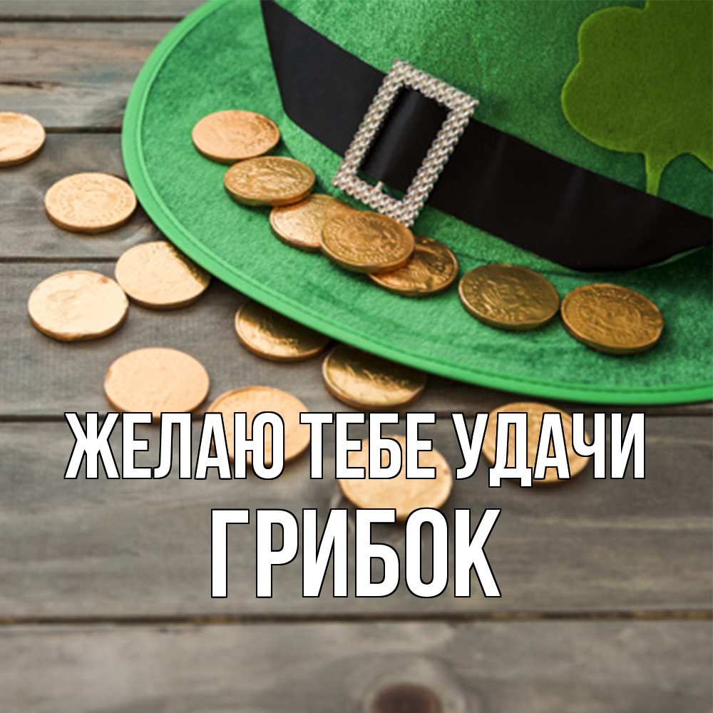 Открытка на каждый день с именем, Грибок Желаю тебе удачи монеты Прикольная открытка с пожеланием онлайн скачать бесплатно 