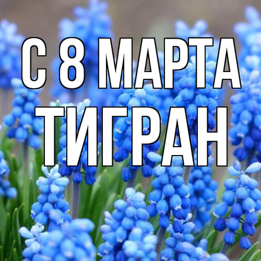Открытка на каждый день с именем, Тигран C 8 МАРТА Поздравительная открытка для женщин с цветами на праздничную дату Прикольная открытка с пожеланием онлайн скачать бесплатно 
