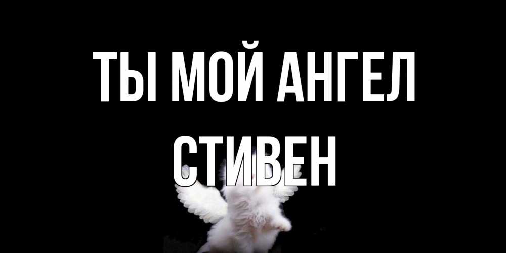 Открытка на каждый день с именем, Стивен Ты мой ангел Кот ангел Прикольная открытка с пожеланием онлайн скачать бесплатно 