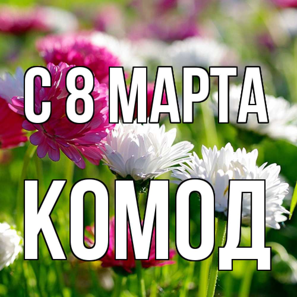 Открытка на каждый день с именем, Комод C 8 МАРТА международный женский день 1 Прикольная открытка с пожеланием онлайн скачать бесплатно 