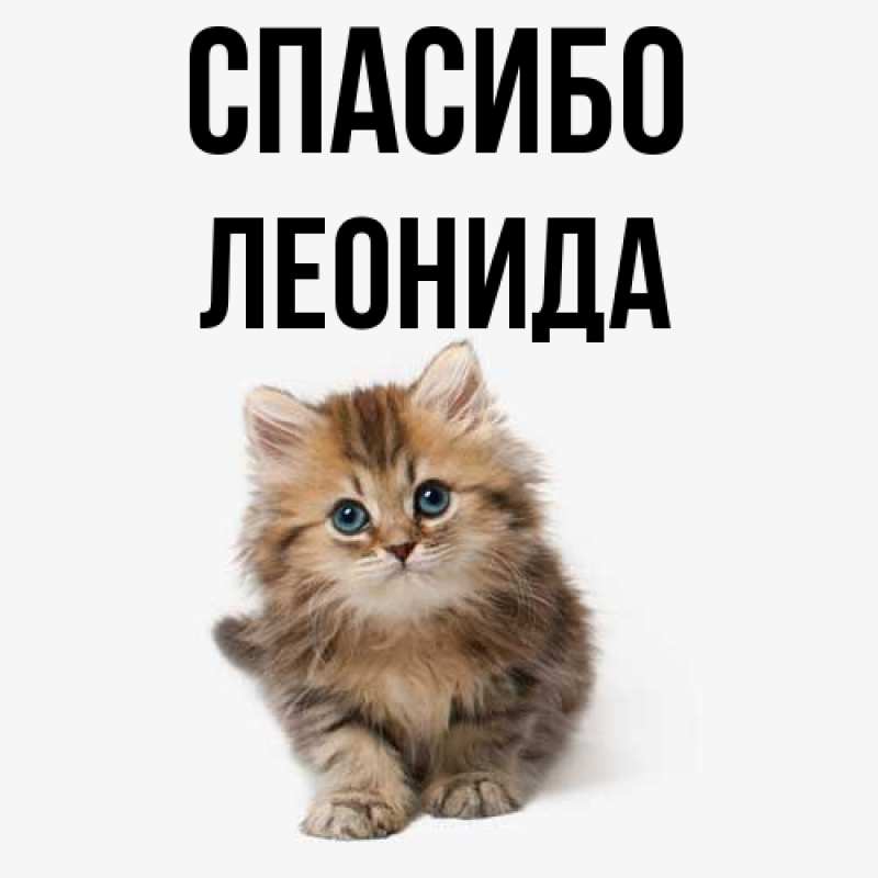 Картинка Спасибо, Леонида